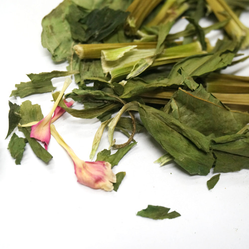 알스트로메리아 50g (Alstroemeria (Lily of the Incas)) 국산