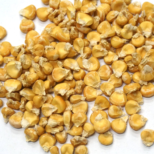 옥수수열매 50g (Zea Mays (Corn) Fruit) 국산-청주