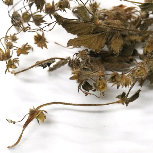 양지꽃 50g (Potentilla Fragarioides Flower) 국산-청주