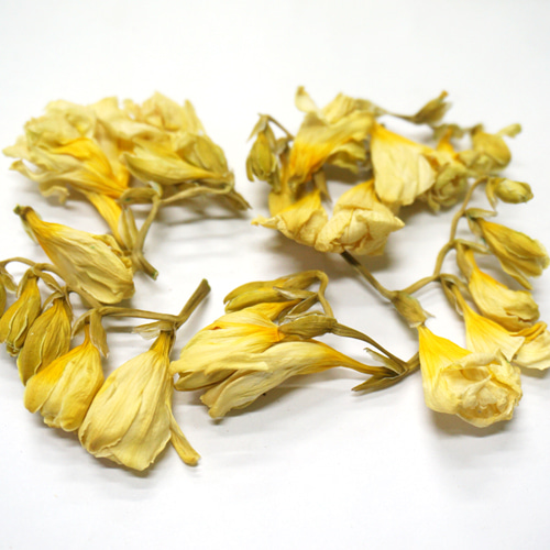 알바프리지어 30g (Freesia Alba Flower) 국산