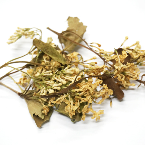 커먼자스민꽃 50g (Jasminum Officinale (Jasmine) Flower) 국산-청주