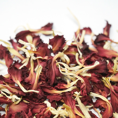 카네이션꽃 50g (Dianthus Caryophyllus Flower) - 한국