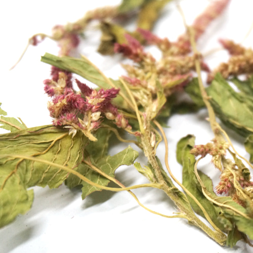 아마란스잎/씨방/줄기 50g (Amaranthus Hypochondriacus Leaf/Ovary/Stem) 국산-청주