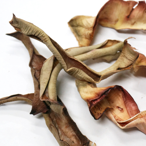 알로에베라잎 50g (Aloe Barbadensis Leaf) 국산-제주