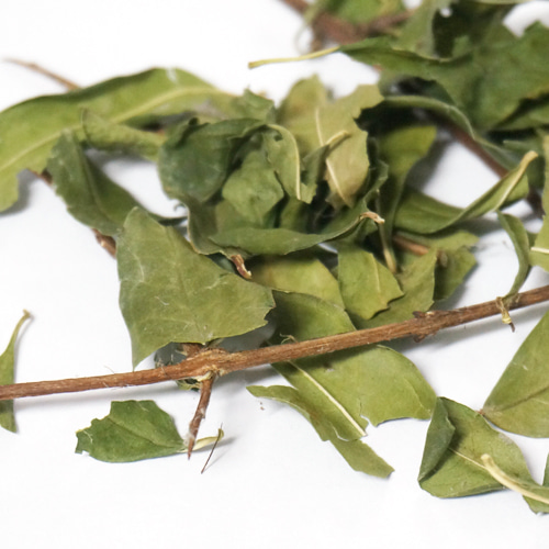 석류나무 잎/줄기 50g (Punica Granatum Leaf/Stem) 국산