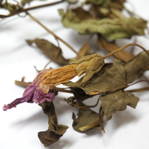 큰메꽃(전초) 50g (Calystegia Sepium) 국산-청주