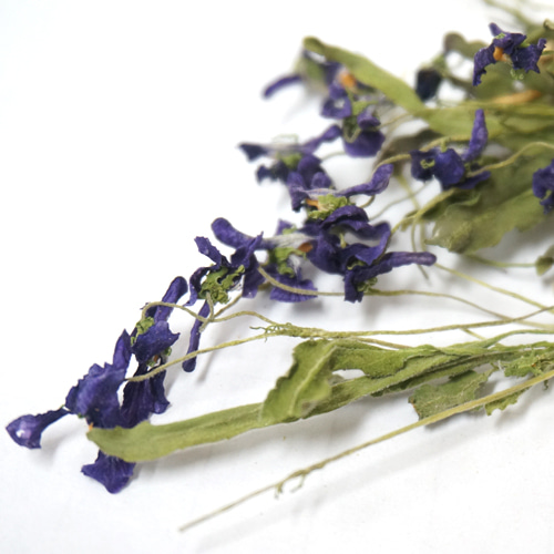 제비꽃꽃 50g (Viola Mandshurica Flower) 국산-청주