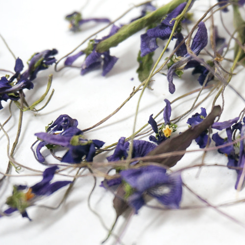 향기제비꽃꽃 10g (Viola Mandshurica Flower) 국산-청주