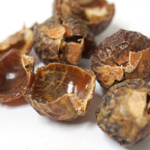 무환자 열매껍질 50g (Sapindus Mukorossi Fruit Peel) 인도산
