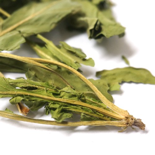 케일잎 50g (Brassica Oleracea Acephala) - 국산