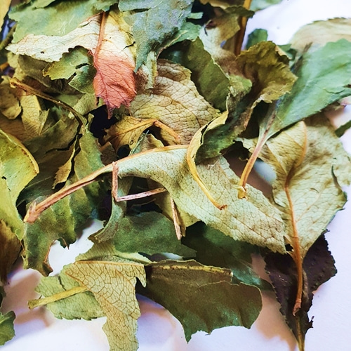 아로니아 잎 50g (Aronia Melanocarpa Leaf) 국산-청주