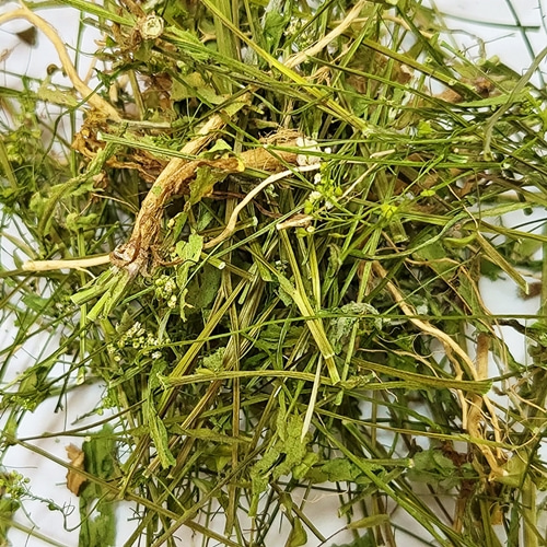 냉이(전초) 50g (Capsella Bursa-Pastoris) 국산-청주