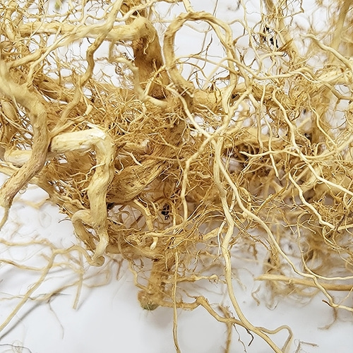 흰명아주뿌리 50g (Chenopodium Album Root) 국산-청주