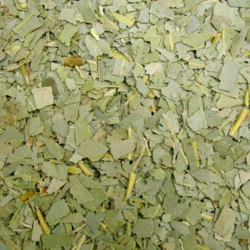 유칼립투스잎오일/유칼립투스라디아타에센셜오일 (Eucalyptus Globulus Leaf Oil/Eucalyptus radiata essential oil) 이탈리아/호주원산