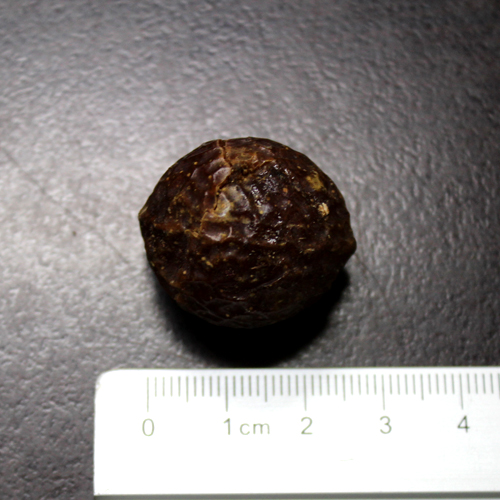 트리리프솝베리 열매 1kg (Sapindus Trifoliatus (Three-leaf Soap berry) Fruit) 인도산