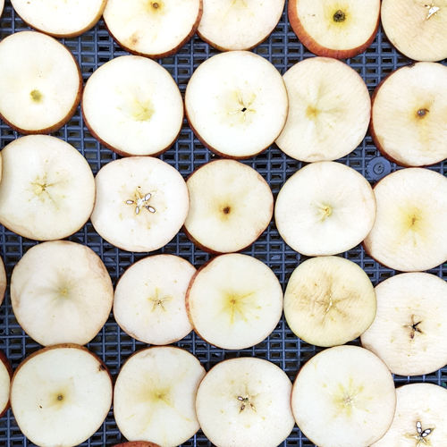 사과 10kg (Pyrus Malus (Apple) Fruit) 국산-보은