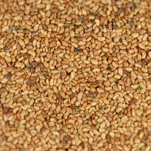 자주개자리씨(알파파씨) 1kg (Medicago Sativa (Alfalfa) Seed) 인도