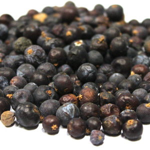 두송 열매 1kg (Juniperus Communis(Juniper berries) Fruit) 캐나다
