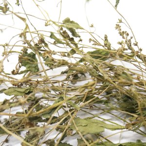 벼룩이자리잎 50g (Arenaria Serpyllifolia Leaf) 국산-청주