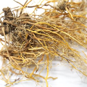 범부채 뿌리 50g (Belamcanda Chinensis Root) 국산-청주