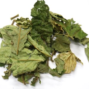 뽕나무 잎 50g (Morus Alba Leaf) 국산-청주