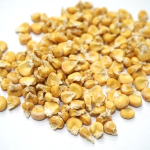 옥수수열매 50g (Zea Mays (Corn) Fruit) 국산-청주