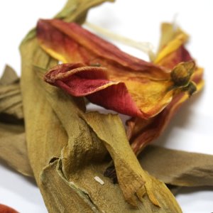 튤립(전초) 50g (Tulipa Gesneriana Flower) 국산-청주