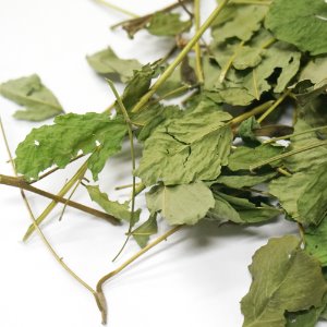 아까시나무잎 50g (Robinia Pseudoacacia Leaf) 국산-청주