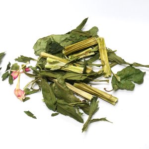 알스트로메리아 50g (Alstroemeria (Lily of the Incas)) 국산