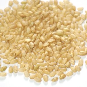 발아현미 1kg (Oryza Sativa (Germinated Brown Rice) Kernel) 국산-청주