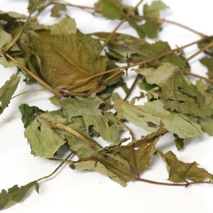 사향장미잎 50g (Rosa Moschata Leaf) 국산