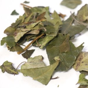 서양송악잎 50g (Hedera Helix (Ivy) Leaf) 국산