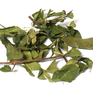 석류나무 잎/줄기 50g (Punica Granatum Leaf/Stem) 국산
