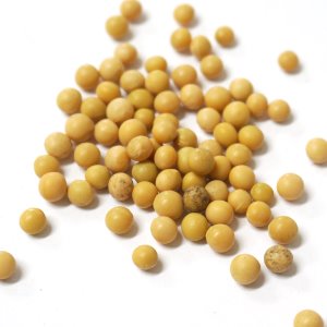 돌콩(콩나물콩) 100g (Glycine Soja (Soybean) Seed) 국산-제주