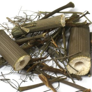 회향뿌리 50g (Foeniculum vulgare Root) 국산-청주