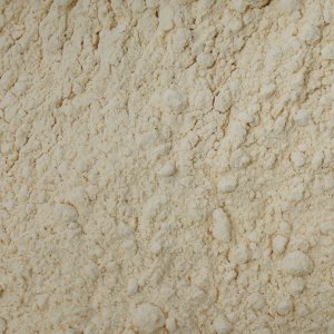 화이트루핀씨가루 100g (Lupinus Albus Seed Powder) 국산-청주