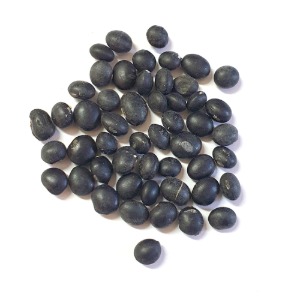 돌콩(야생돌콩) 50g (Glycine Soja (Soybean) Seed) 국산-청주