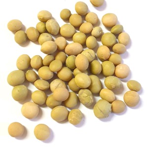 돌콩(독새기콩) 100g (Glycine Soja (Soybean) Seed) 국산-제주