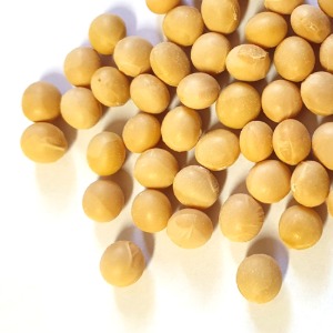 돌콩 1kg (Glycine Soja (Soybean)) 국산-청주
