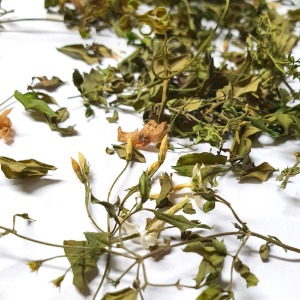 스페인자스민꽃 20g (Jasminum Grandiflorum (Jasmine) Flower ) 국산-청주