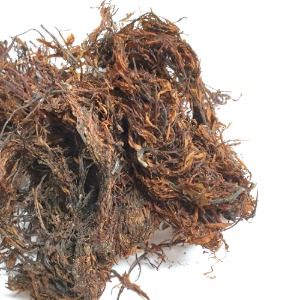 괭생이모자반 50g (Sargassum Horneri) 국산-제주
