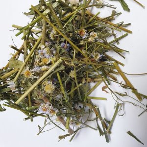 개망초 전초 50g (Erigeron Annuus) 국산-청주