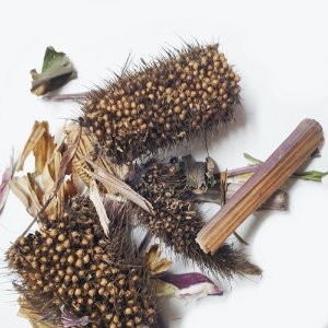 검정조(흑조) 전초 50g (Setaria Italica Seed (Black)) 국산-청주