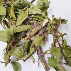 화살나무 잎/줄기 50g (Euonymus alatus Leaf/Stem) 국산-청주