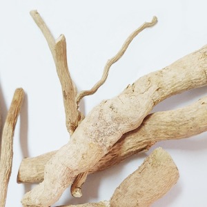 호랑가시나무 뿌리 50g (Ilex Cornuta Root) 국산-청주
