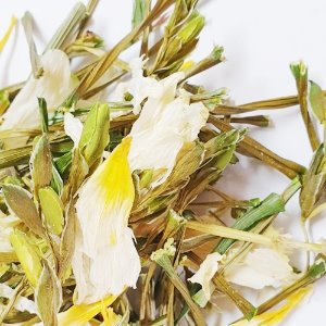 알바프리지어 꽃 50g (Freesia Alba Flower) 국산-청주
