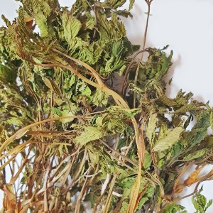 눈개승마 새싹 50g (Aruncus Dioicus Sprout) 국산-청주