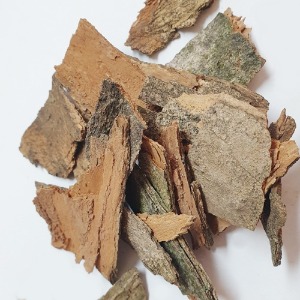 중국단풍나무 껍질 50g (Acer buergerianum Bark) 국산-청주