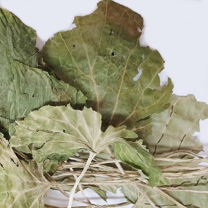 고추냉이 잎 50g (Wasabia Japonica Leaf) 국산-청주
