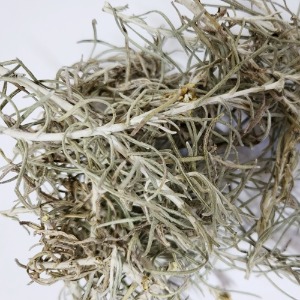 커리플랜트 전초 50g (Helichrysum Angustifolium) 국산-청주